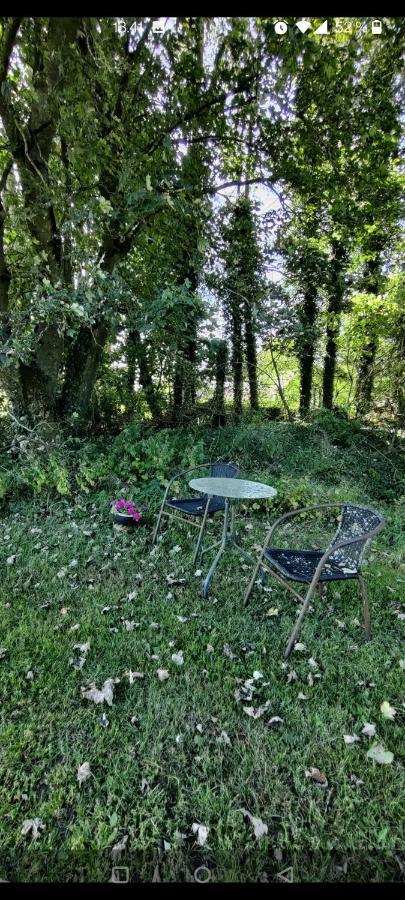 Rosengard Apartment Hammel Bagian luar foto